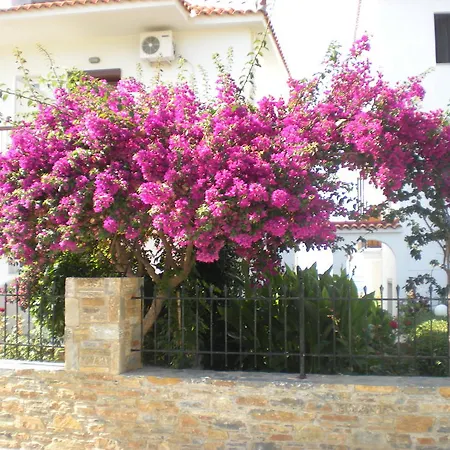 Apartment Antonios Skopelos Town