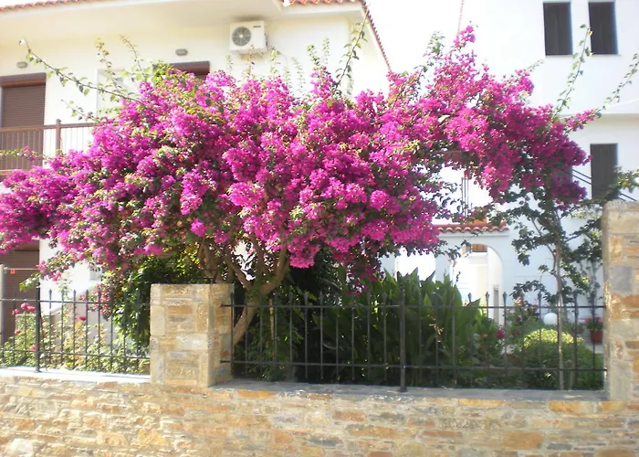 アパート Antonios スコペロス